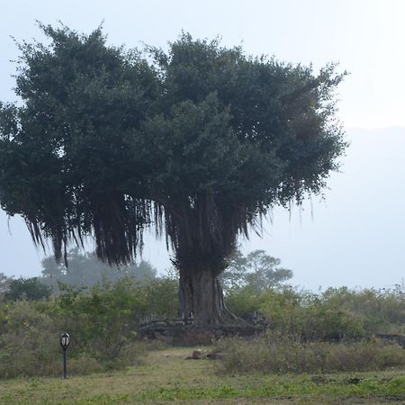 Aarraams Farms & Resorts ماسيناجودي الغرفة الصورة