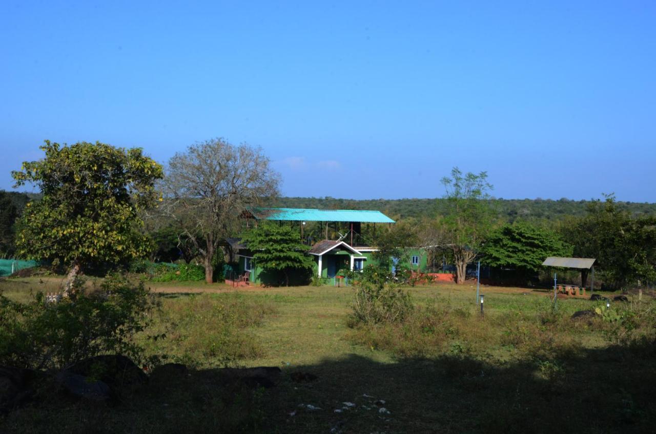 Aarraams Farms & Resorts ماسيناجودي المظهر الخارجي الصورة